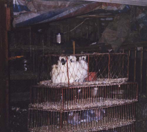 ��i�ɃE�R�b�P�C�A���i�Ƀn�g