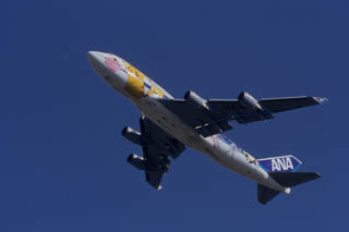 B747-481 JA8962